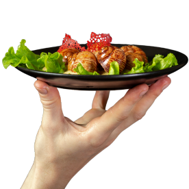 Hand holding a plate with food representing the Food & Nutrition product range