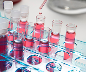 Coalescing agents in test tubes to improve film formation and drying in paints